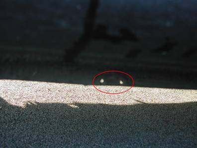 Cliquez pour afficher l