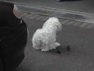 Cliquez pour afficher l