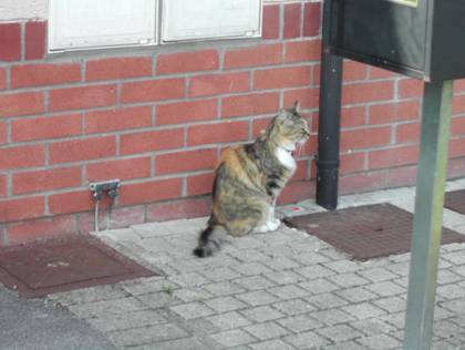 Cliquez pour afficher l