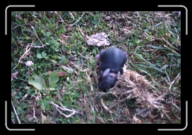 PICT0057 * 1792 x 1200 * (298KB)