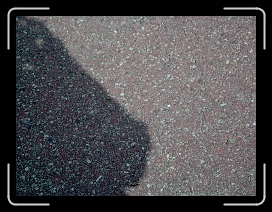 IM000236 * 2048 x 1536 * (1.17MB)