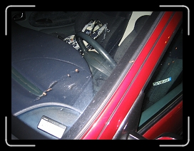 IMG_2083 * 2592 x 1944 * (2.03MB)