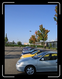 IMG_2128 * 1944 x 2592 * (2.31MB)