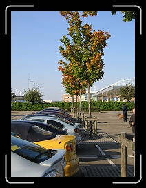 IMG_2133 * 1944 x 2592 * (2.35MB)