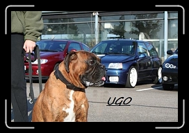 img3108hb5 * 519 x 346 * (71KB)