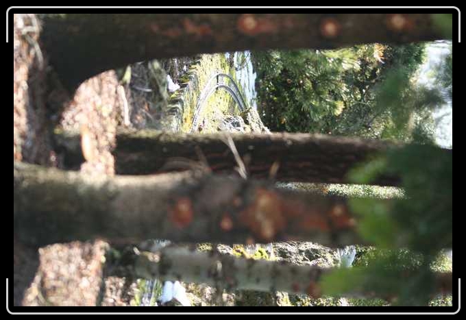 Diapositive suivante