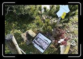 IMG_5207 * 640 x 427 * (85KB)