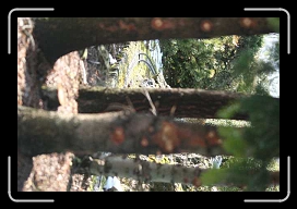 IMG_5221 * 640 x 427 * (48KB)