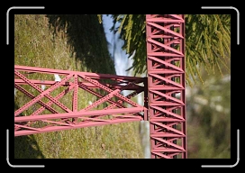 IMG_5232 * 640 x 427 * (59KB)