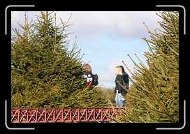 IMG_5242 * 640 x 427 * (62KB)