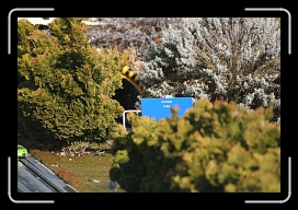 IMG_5252 * 640 x 427 * (65KB)