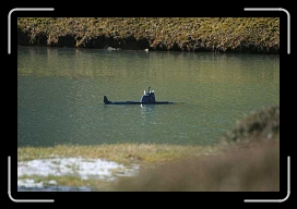 IMG_5339 * 640 x 427 * (39KB)