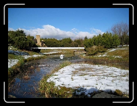 IMG_0165 * 640 x 480 * (54KB)