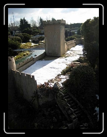 IMG_0169 * 480 x 640 * (41KB)