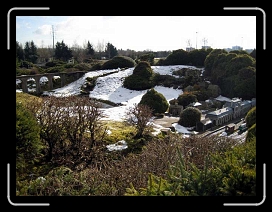 IMG_0183 * 640 x 480 * (65KB)