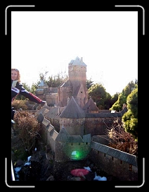 IMG_0245 * 480 x 640 * (41KB)