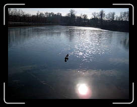 IMG_0308 * 640 x 480 * (34KB)