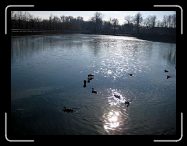 IMG_0309 * 640 x 480 * (40KB)