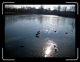 IMG_0311 * 640 x 480 * (41KB)