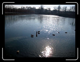 IMG_0312 * 640 x 480 * (40KB)