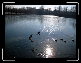 IMG_0324 * 640 x 480 * (41KB)