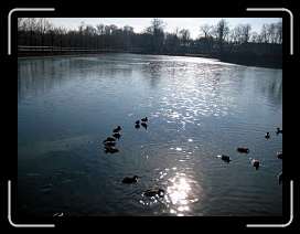 IMG_0325 * 640 x 480 * (41KB)