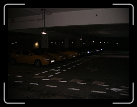 IMG_2486 * 1632 x 1224 * (712KB)