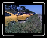 IMG_0597 * 1600 x 1200 * (582KB)