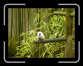 P1060031 * 3072 x 2304 * (3.03MB)