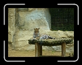 P1060044 * 3072 x 2304 * (2.81MB)
