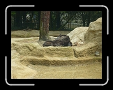 P1060069 * 3072 x 2304 * (3.07MB)