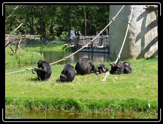 Diapositive suivante