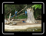P1000131 * 640 x 480 * (88KB)