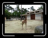 P1000135 * 640 x 480 * (78KB)