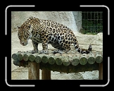 P1000144 * 640 x 480 * (85KB)