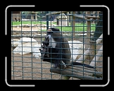 P1000159 * 640 x 480 * (83KB)