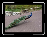 P1000184 * 640 x 480 * (81KB)