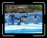 P1000191 * 640 x 480 * (76KB)