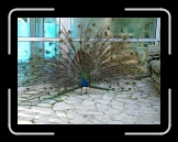 P1000226 * 640 x 480 * (81KB)