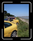 SDC11097 * 2448 x 3264 * (1.67MB)