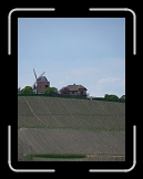 P1000457 * 2736 x 3648 * (4.08MB)