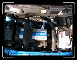 IMG_1925 * 1632 x 1224 * (945KB)